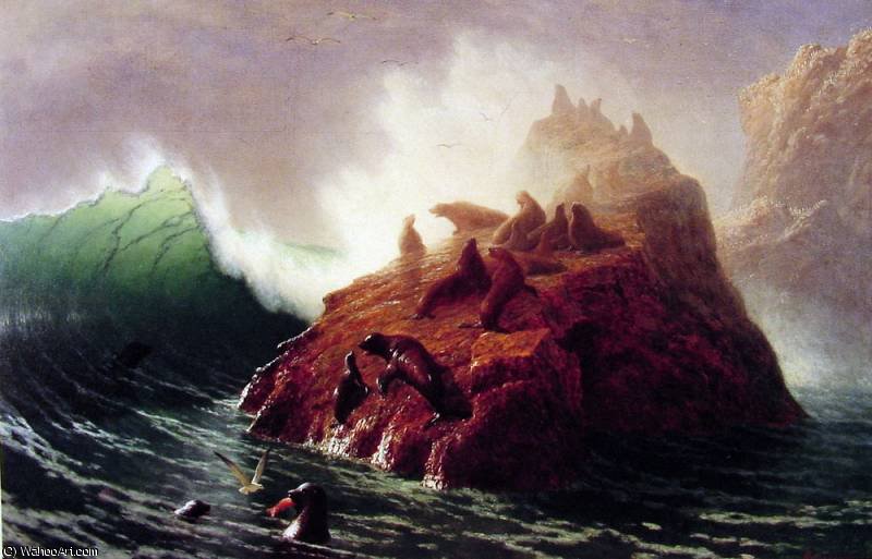 Wikioo.org - สารานุกรมวิจิตรศิลป์ - จิตรกรรม Albert Bierstadt - seal rock