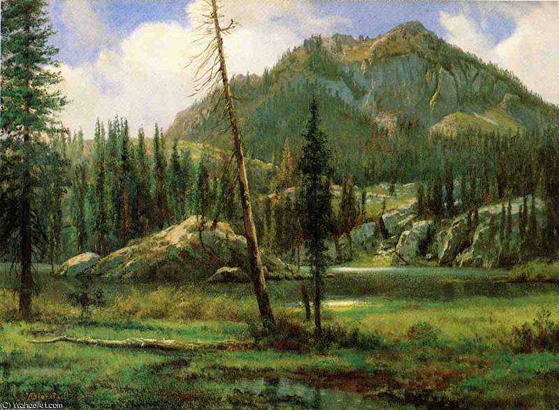 Wikioo.org - The Encyclopedia of Fine Arts - Painting, Artwork by Albert Bierstadt - Sierra Nevada Mountains