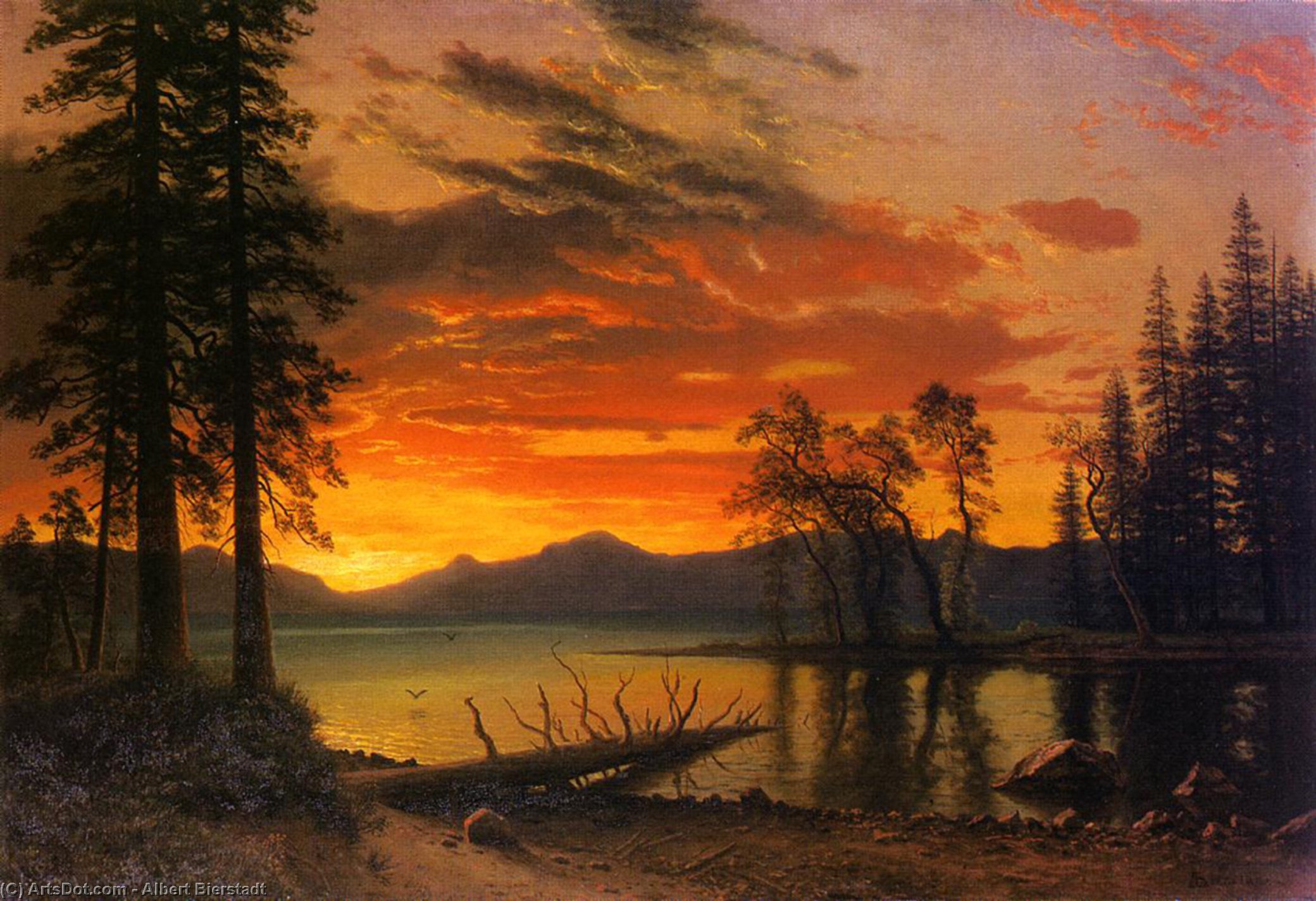Wikioo.org - The Encyclopedia of Fine Arts - Painting, Artwork by Albert Bierstadt - Sunset over the River