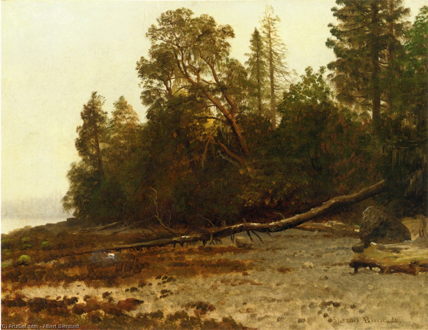WikiOO.org - Encyclopedia of Fine Arts - Schilderen, Artwork Albert Bierstadt - The Fallen Tree
