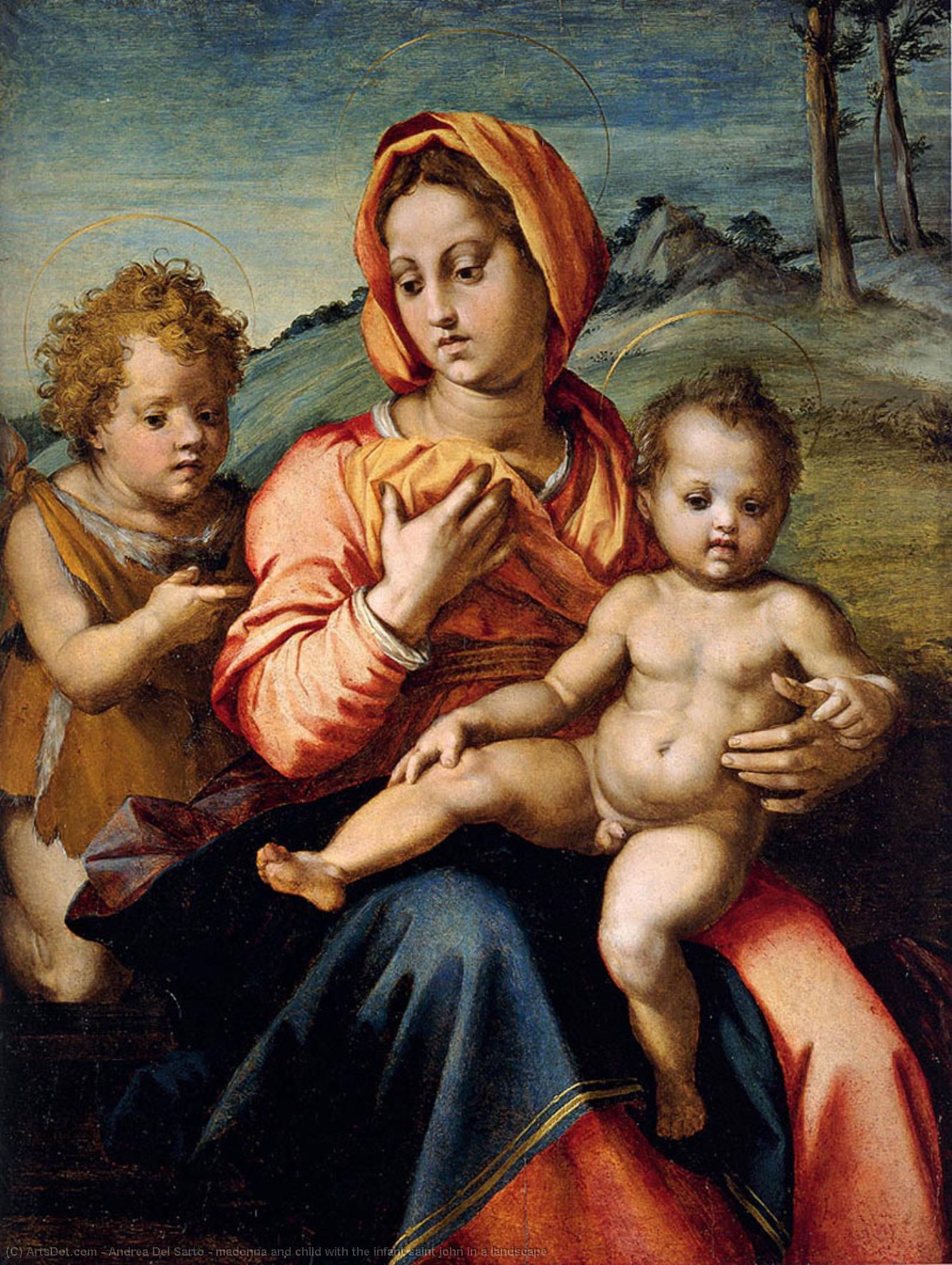 Wikioo.org - The Encyclopedia of Fine Arts - Painting, Artwork by Andrea Del Sarto - madonna and child with the infant saint john in a landscape