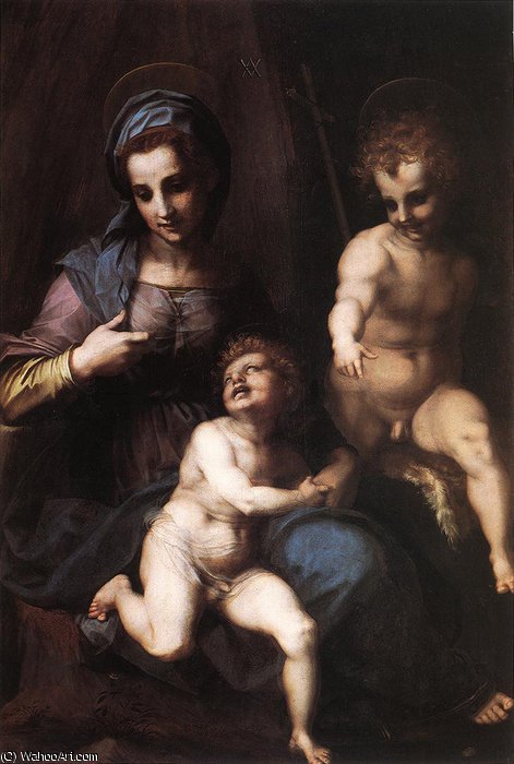 Wikioo.org – L'Enciclopedia delle Belle Arti - Pittura, Opere di Andrea Del Sarto - madonna col bambino con l'estensione giovani san john