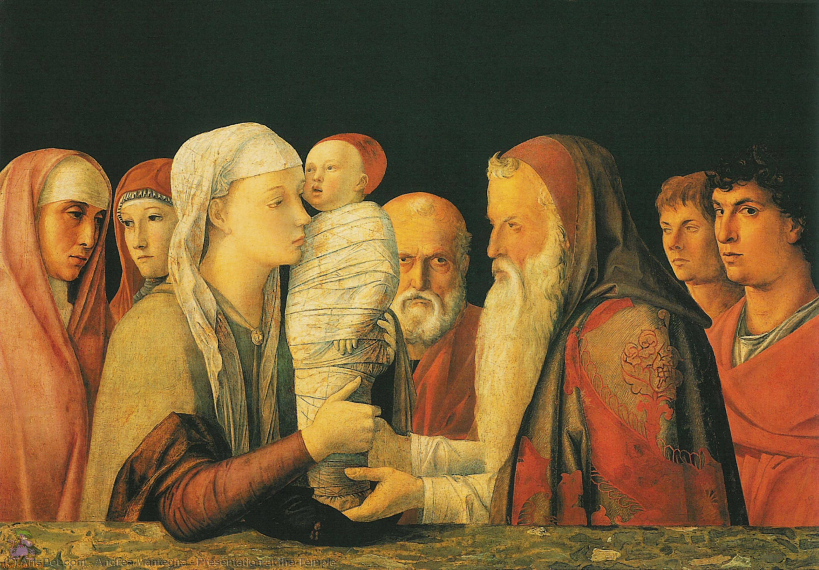 Wikioo.org - Die Enzyklopädie bildender Kunst - Malerei, Kunstwerk von Andrea Mantegna - Darstellung im Tempel