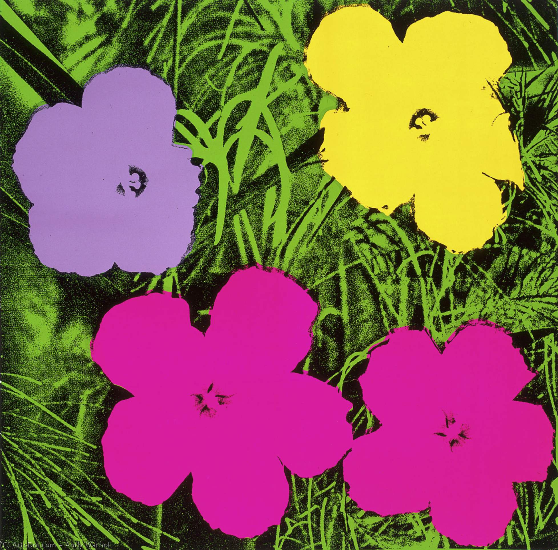 WikiOO.org - Энциклопедия изобразительного искусства - Живопись, Картины  Andy Warhol - Цветы