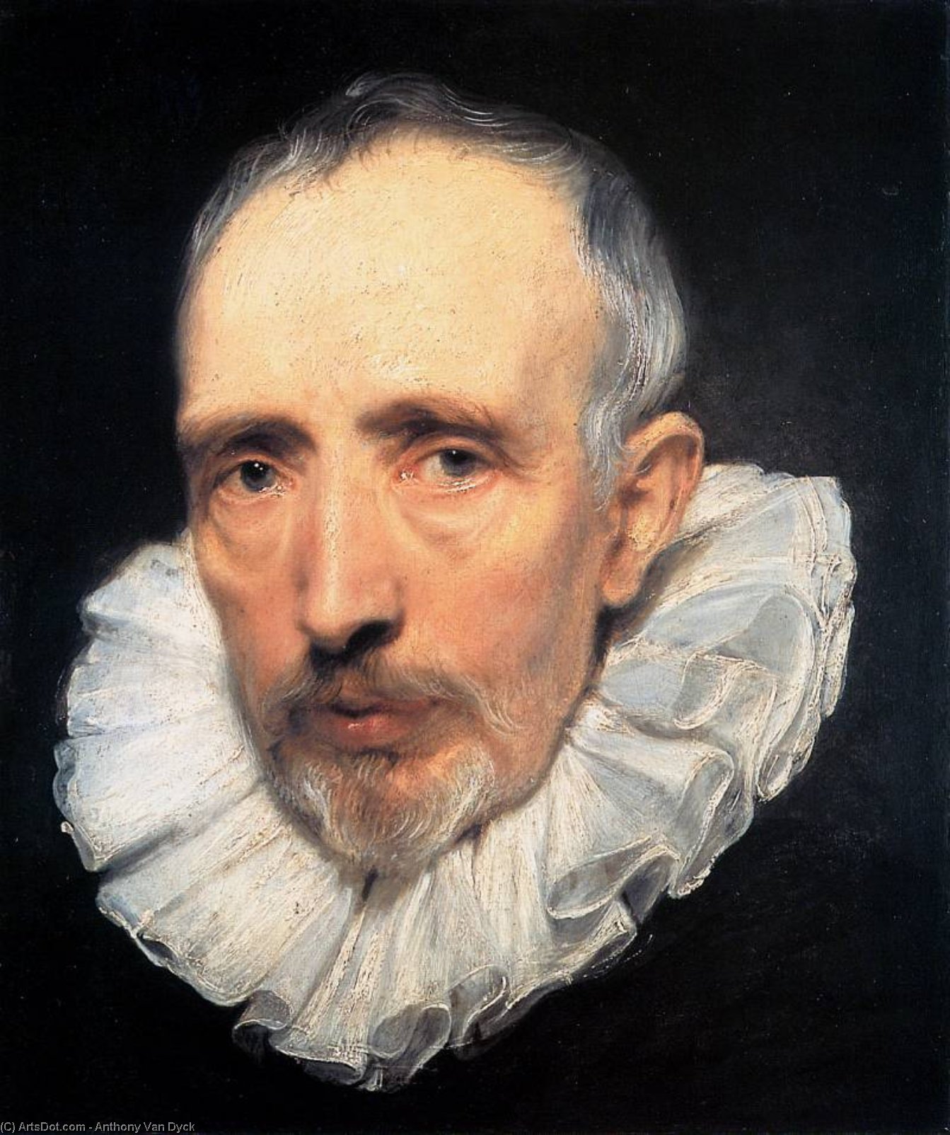 WikiOO.org - Εγκυκλοπαίδεια Καλών Τεχνών - Ζωγραφική, έργα τέχνης Anthony Van Dyck - Antoon Cornelis van der Geest Sun