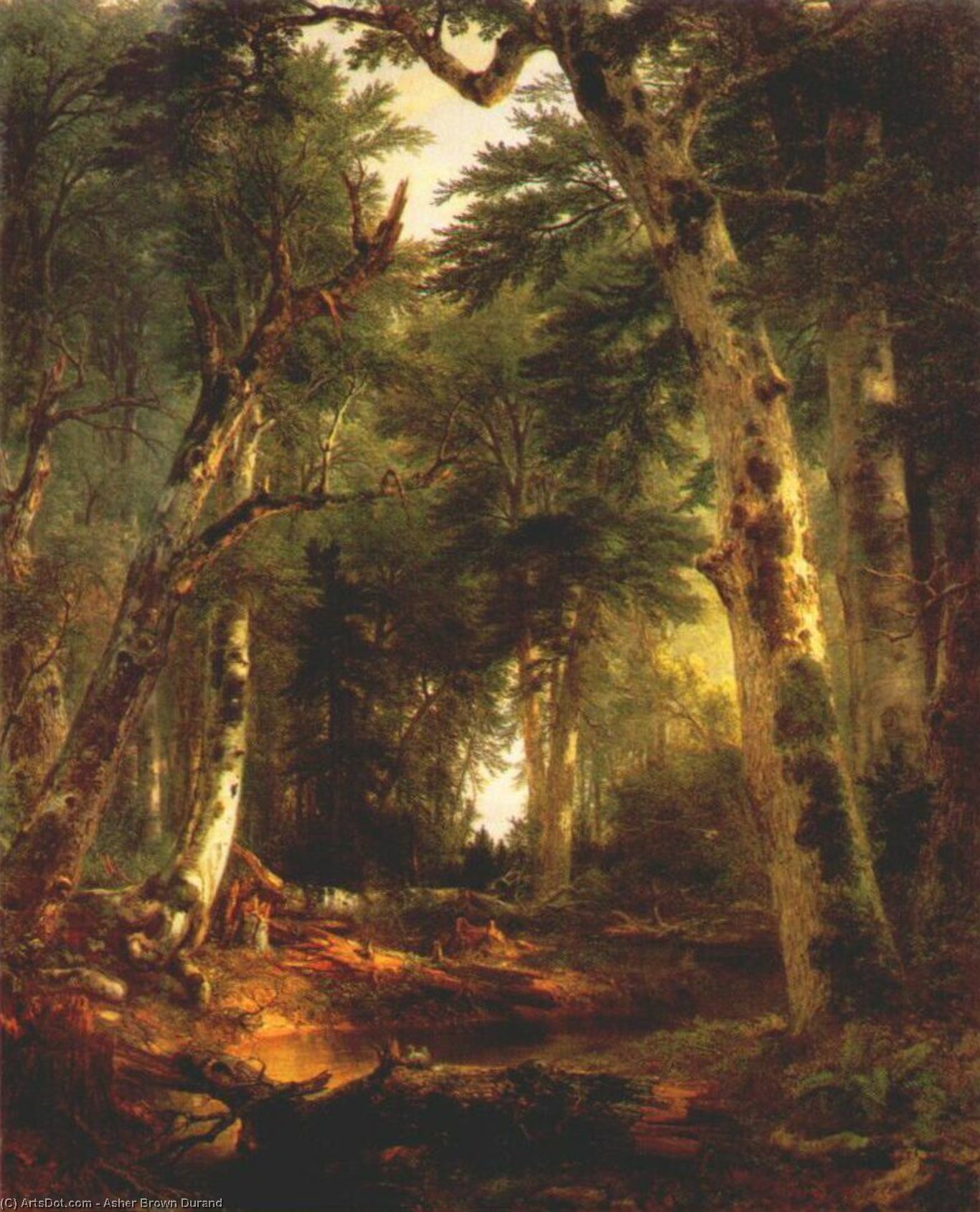 Wikioo.org - The Encyclopedia of Fine Arts - Painting, Artwork by Asher Brown Durand - in the woods