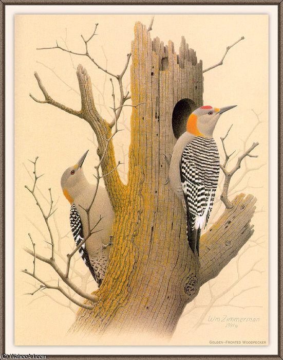 Wikioo.org - The Encyclopedia of Fine Arts - Painting, Artwork by August Albert Zimmermann - golden-fronted woodpecker