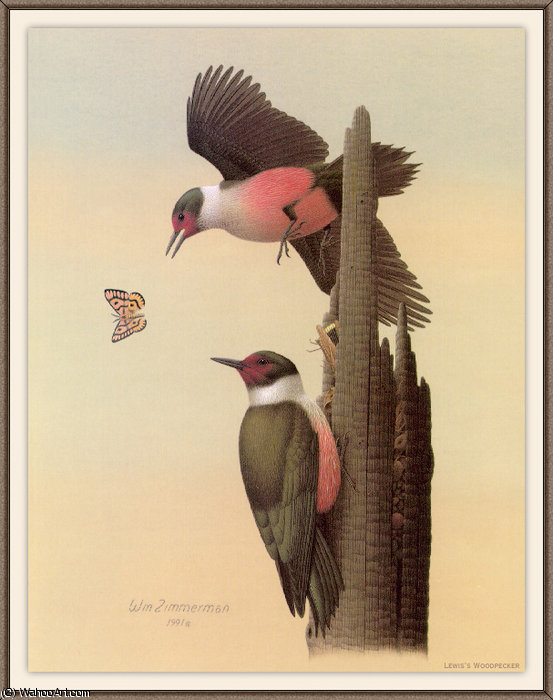 Wikioo.org - The Encyclopedia of Fine Arts - Painting, Artwork by August Albert Zimmermann - lewiss woodpecker