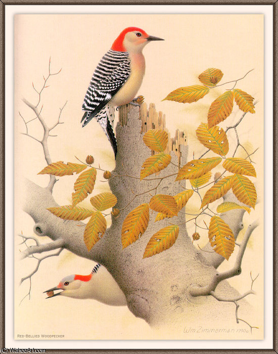 WikiOO.org - Εγκυκλοπαίδεια Καλών Τεχνών - Ζωγραφική, έργα τέχνης August Albert Zimmermann - red-bellied woodpecker