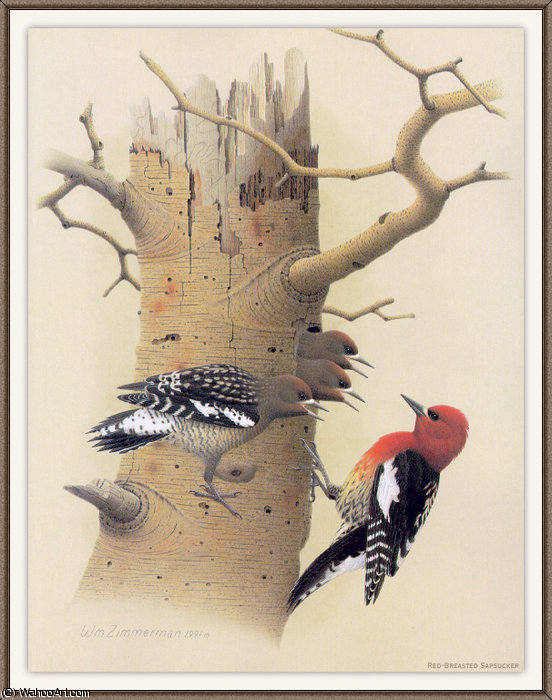 Wikioo.org - The Encyclopedia of Fine Arts - Painting, Artwork by August Albert Zimmermann - red-breasted sapsucker