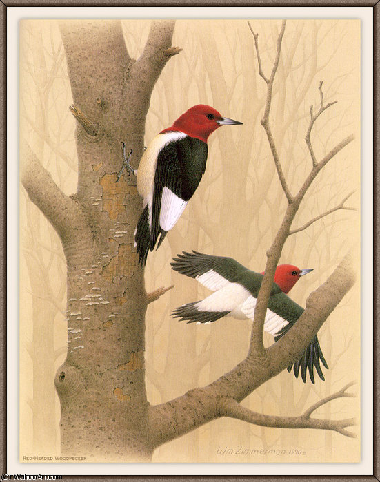 Wikioo.org - The Encyclopedia of Fine Arts - Painting, Artwork by August Albert Zimmermann - red-headed woodpecker