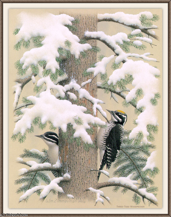 Wikioo.org - The Encyclopedia of Fine Arts - Painting, Artwork by August Albert Zimmermann - three-toed woodpecker