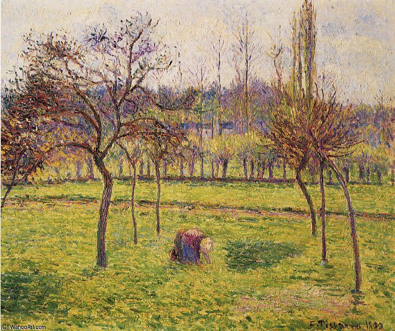 Wikioo.org – La Enciclopedia de las Bellas Artes - Pintura, Obras de arte de Camille Pissarro - Árboles de Apple en un campo.