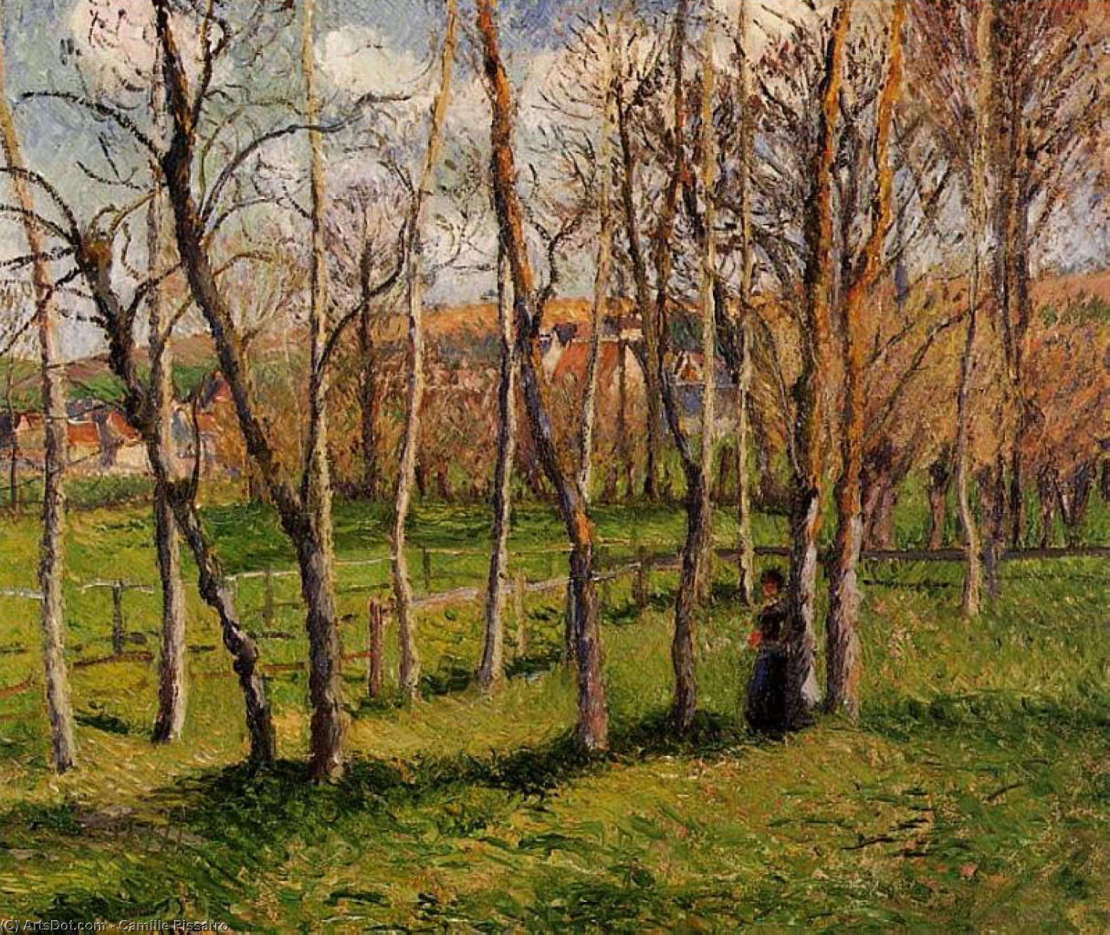 Wikioo.org - The Encyclopedia of Fine Arts - Painting, Artwork by Camille Pissarro - Meadow at Bazincourt.