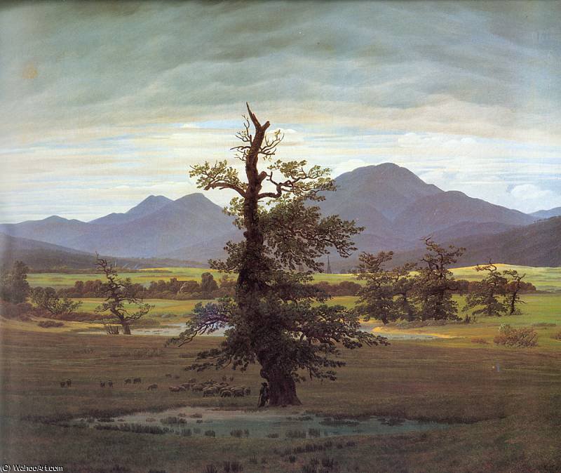 Wikioo.org - The Encyclopedia of Fine Arts - Painting, Artwork by Caspar David Friedrich - C D Friedrich Landscape with Solitary Tree