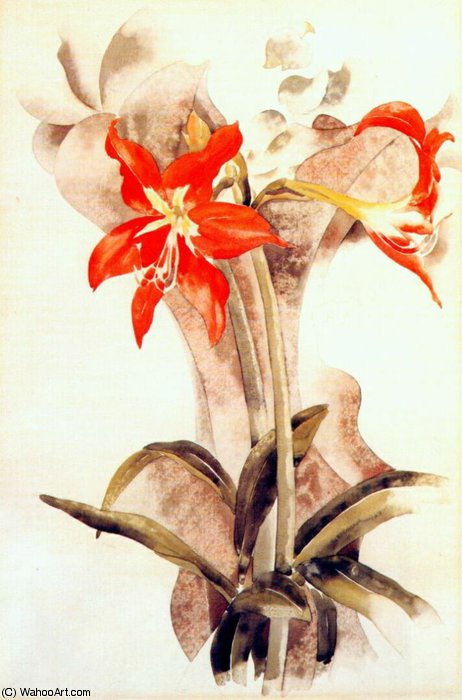WikiOO.org - Encyclopedia of Fine Arts - Malba, Artwork Charles Demuth - amaryllis