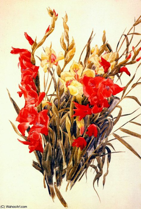 Wikioo.org - The Encyclopedia of Fine Arts - Painting, Artwork by Charles Demuth - red and yellow gladioli