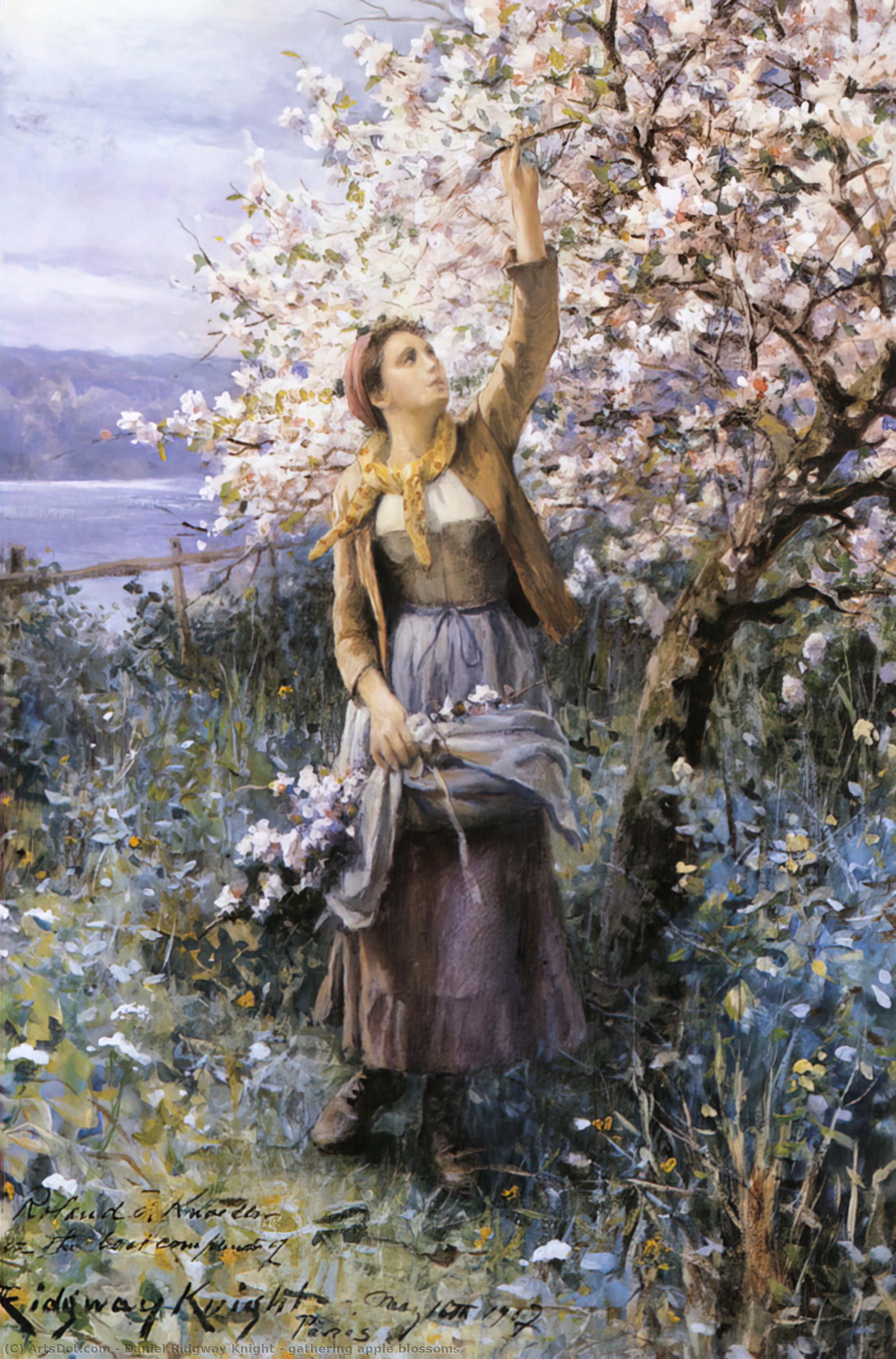 Wikioo.org - The Encyclopedia of Fine Arts - Painting, Artwork by Daniel Ridgway Knight - gathering apple blossoms