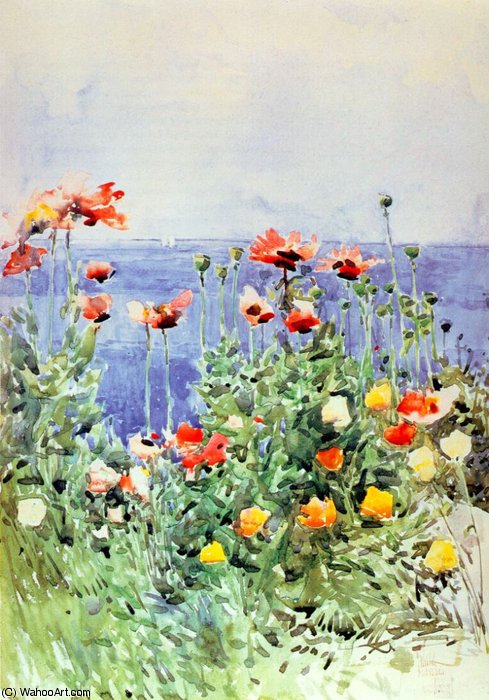 Wikioo.org - The Encyclopedia of Fine Arts - Painting, Artwork by Frederick Childe Hassam - poppies, isles of shoals