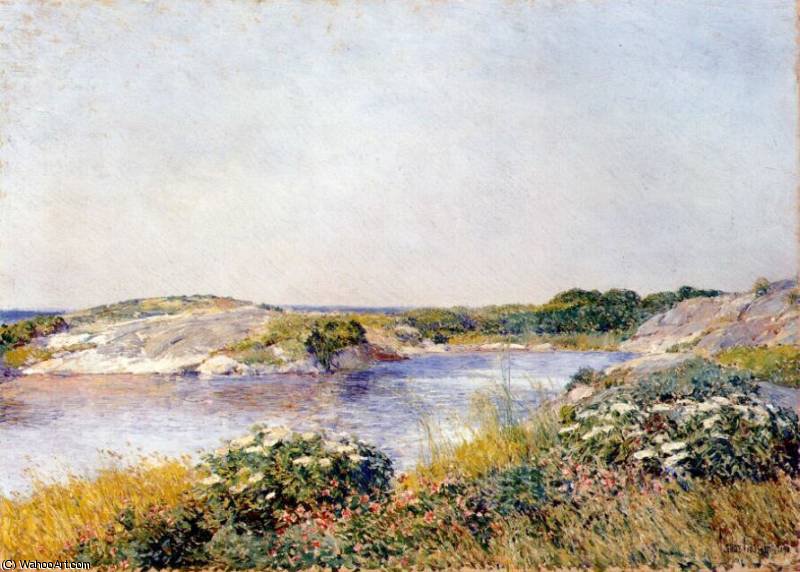 Wikioo.org - The Encyclopedia of Fine Arts - Painting, Artwork by Frederick Childe Hassam - the little pond, appledore