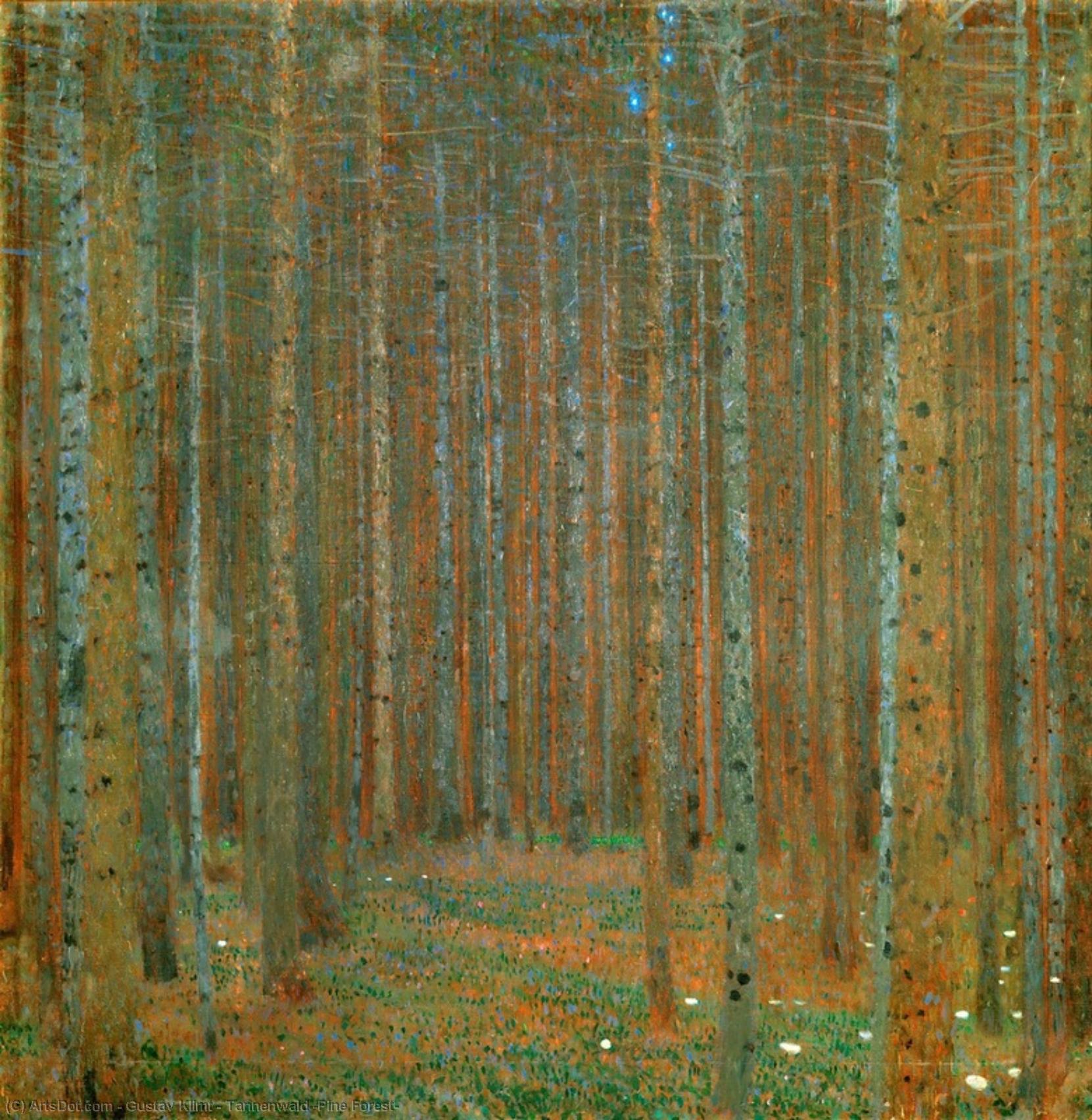 Wikioo.org - The Encyclopedia of Fine Arts - Painting, Artwork by Gustav Klimt - Tannenwald (Pine Forest)