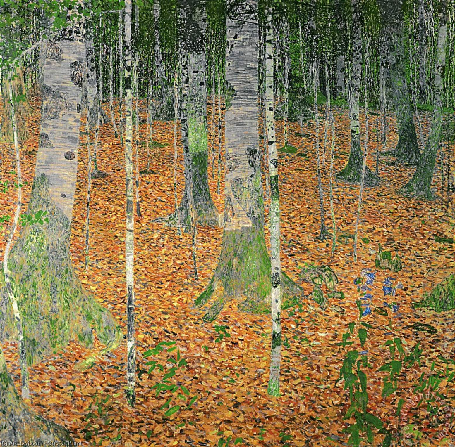 Wikoo.org - موسوعة الفنون الجميلة - اللوحة، العمل الفني Gustav Klimt - The Birch Wood (Birkenwald)