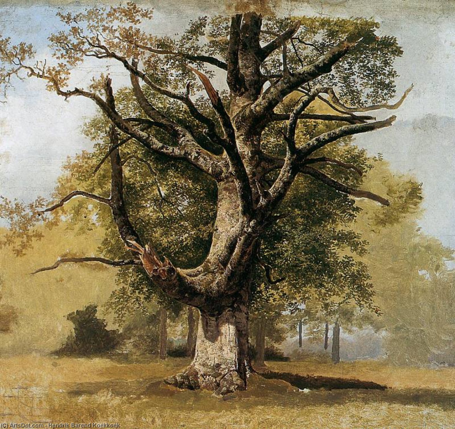 Wikioo.org - The Encyclopedia of Fine Arts - Painting, Artwork by Hendrik Barend Koekkoek - Beech tree Sun