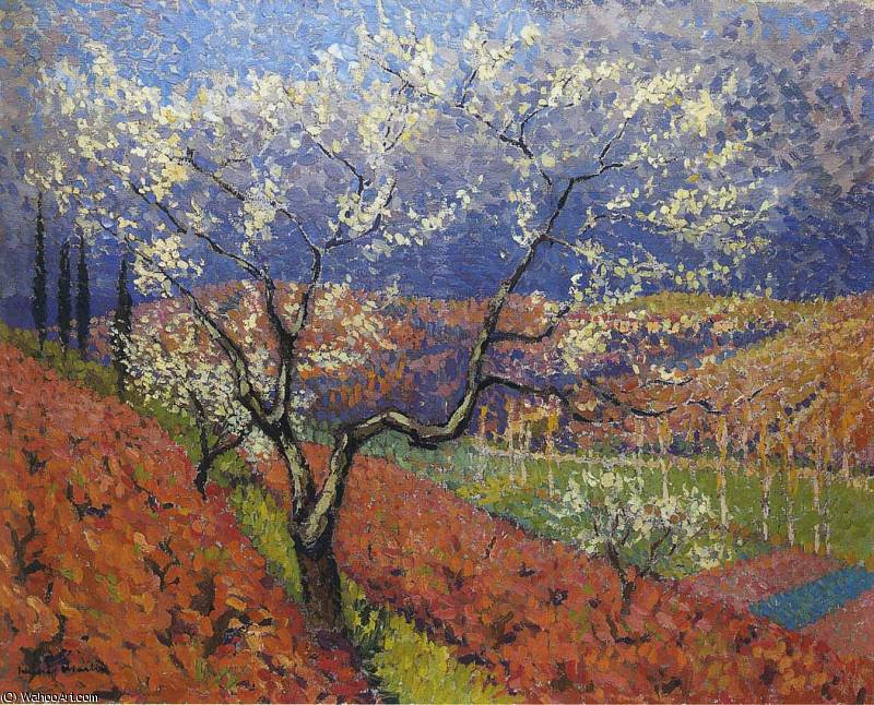 Wikioo.org - The Encyclopedia of Fine Arts - Painting, Artwork by Henri Jean Guillaume Martin - Trees in Flower