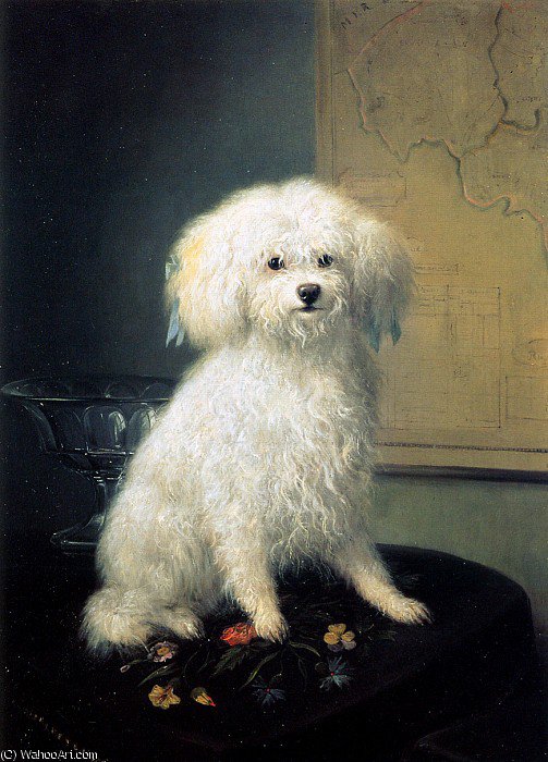 Wikioo.org - The Encyclopedia of Fine Arts - Painting, Artwork by Henriette Ronner Knip - A dog Sun