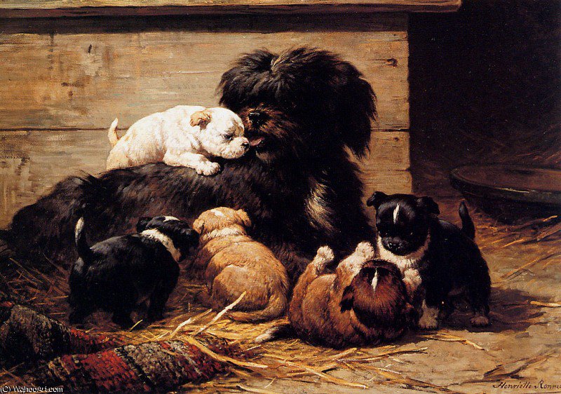 Wikioo.org - The Encyclopedia of Fine Arts - Painting, Artwork by Henriette Ronner Knip - dog with puppies sun