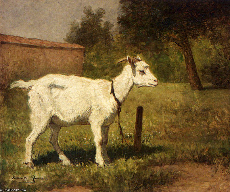 Wikioo.org - The Encyclopedia of Fine Arts - Painting, Artwork by Henriette Ronner Knip - a goat in a meadow