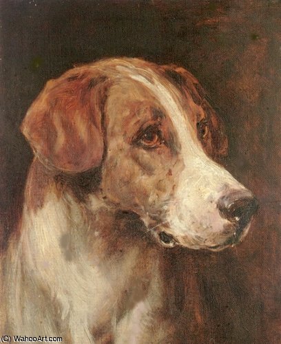 Wikioo.org - Bách khoa toàn thư về mỹ thuật - Vẽ tranh, Tác phẩm nghệ thuật Heywood Hardy - Head of a Foxhound