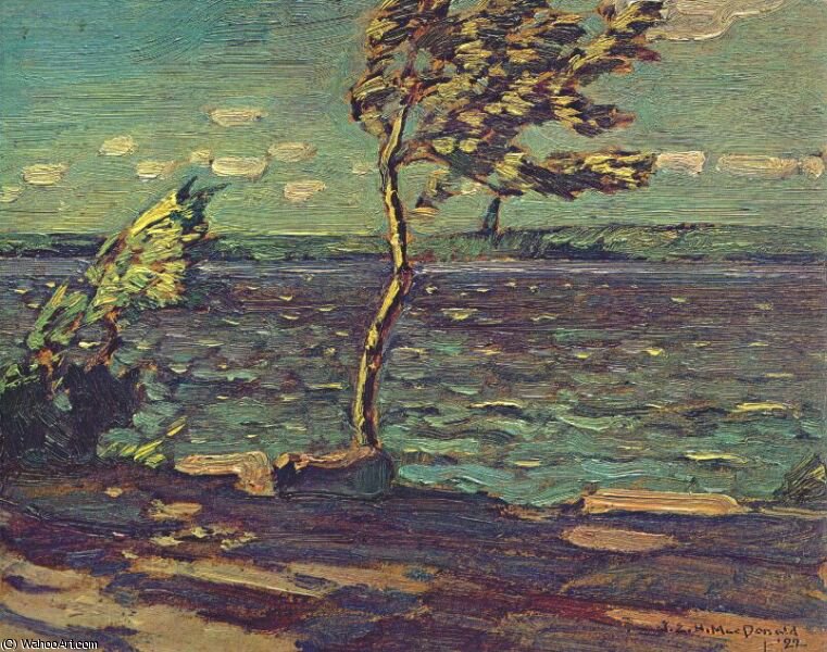 Wikioo.org - The Encyclopedia of Fine Arts - Painting, Artwork by James Edward Hervey Macdonald - windy day, little turtle lake