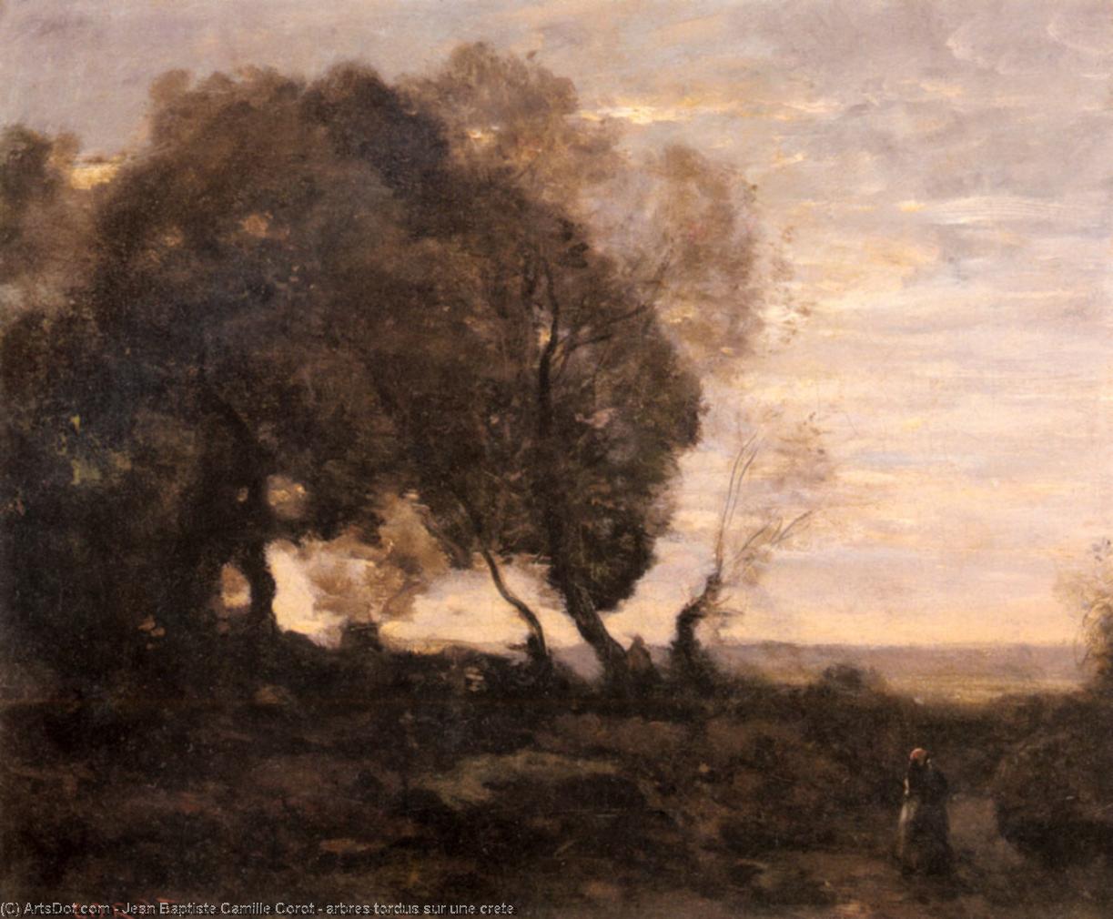 Wikioo.org - The Encyclopedia of Fine Arts - Painting, Artwork by Jean Baptiste Camille Corot - arbres tordus sur une crete