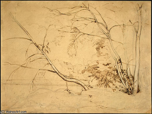 Wikioo.org - สารานุกรมวิจิตรศิลป์ - จิตรกรรม Jean Baptiste Camille Corot - Clump of Trees at Civita Castellana