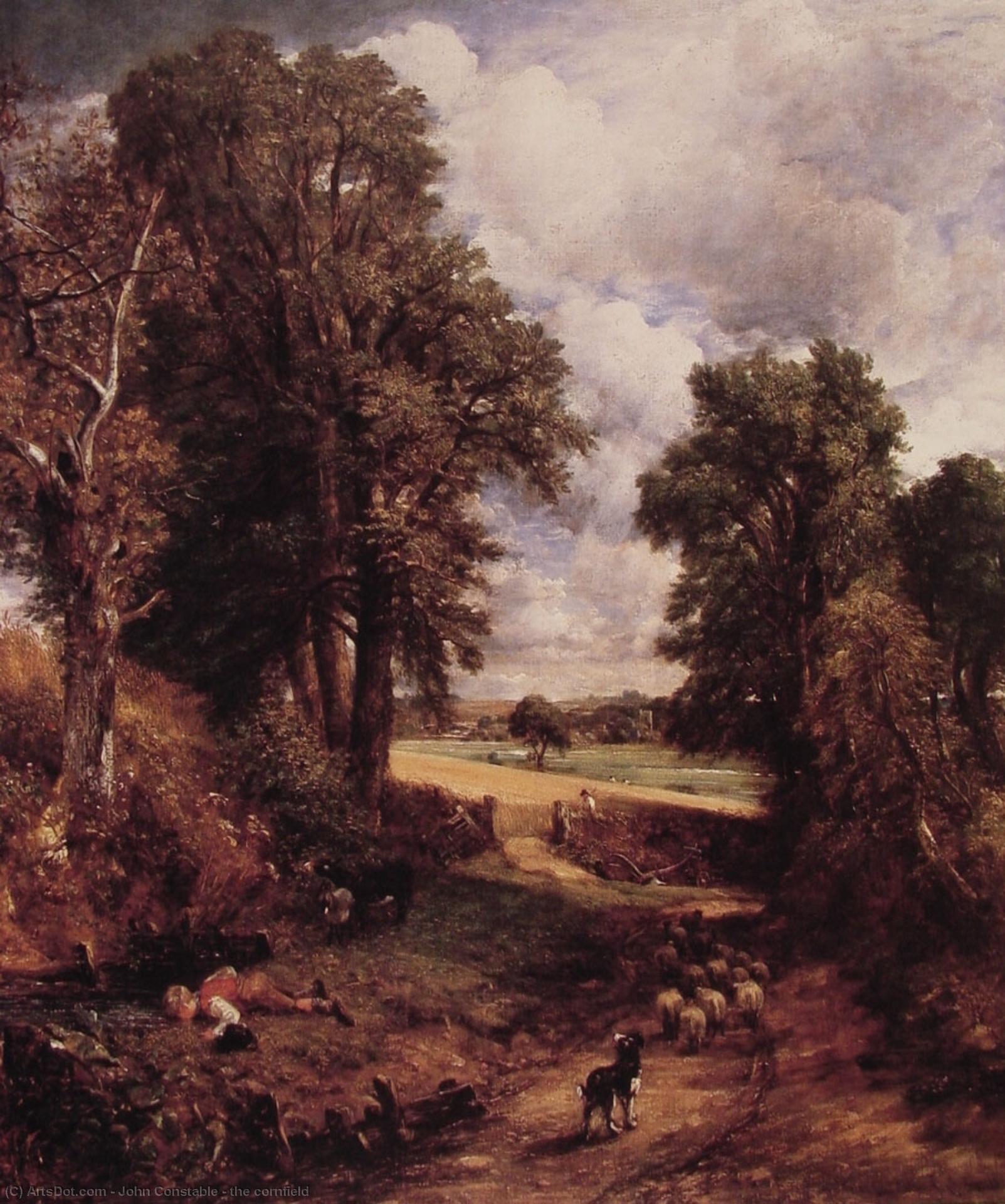 Wikioo.org - The Encyclopedia of Fine Arts - Painting, Artwork by John Constable - the cornfield