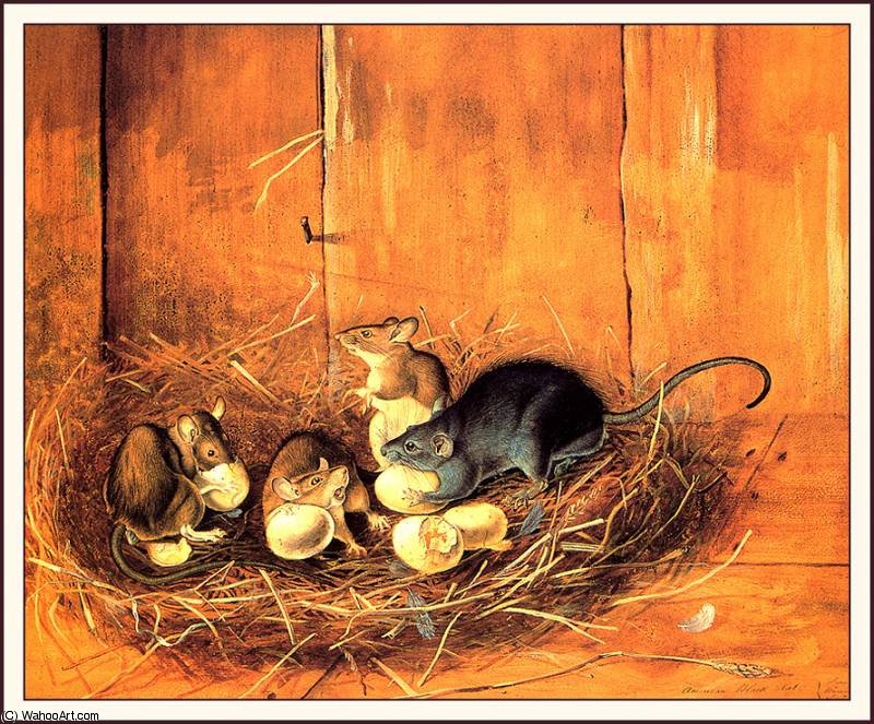 WikiOO.org - Εγκυκλοπαίδεια Καλών Τεχνών - Ζωγραφική, έργα τέχνης John James Audubon - black rats
