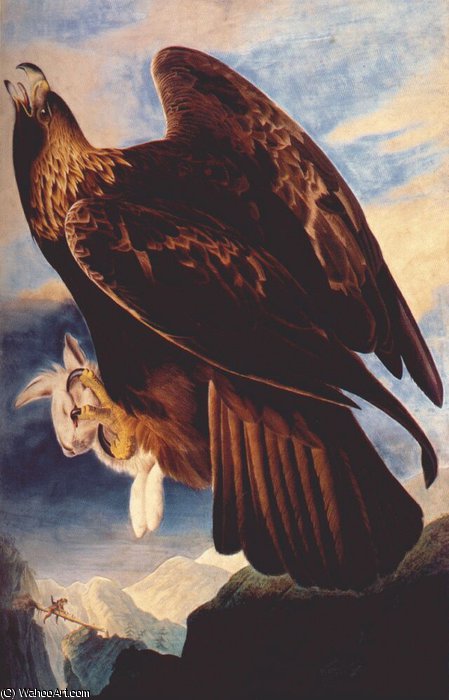 Wikioo.org - The Encyclopedia of Fine Arts - Painting, Artwork by John James Audubon - golden eagle