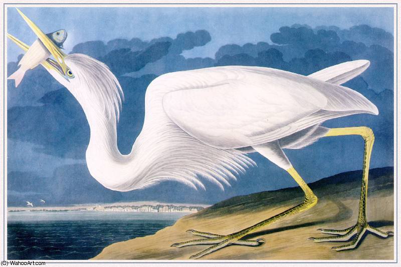Wikioo.org – L'Encyclopédie des Beaux Arts - Peinture, Oeuvre de John James Audubon - grand héron blanc