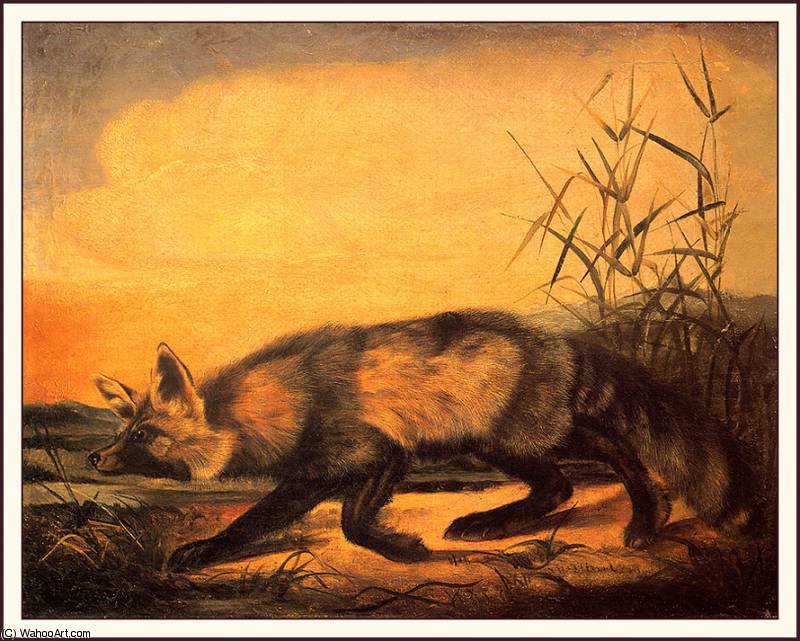 WikiOO.org - Encyclopedia of Fine Arts - Maalaus, taideteos John James Audubon - jackal fox