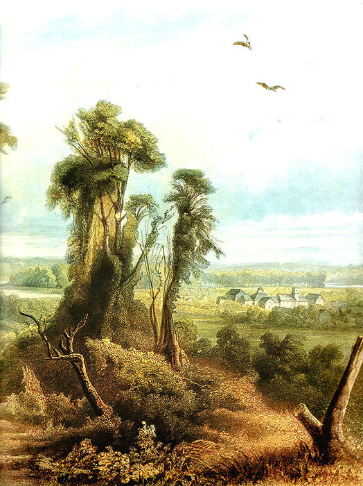 Wikioo.org - The Encyclopedia of Fine Arts - Painting, Artwork by Karl Bodmer - Along the Wabash (Right)