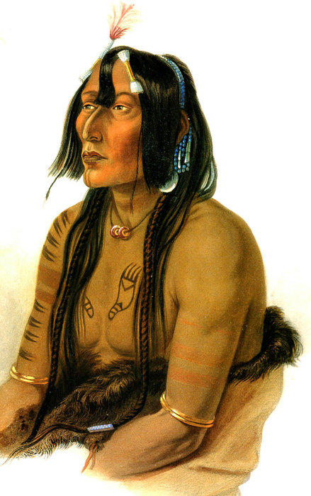 Wikioo.org - The Encyclopedia of Fine Arts - Painting, Artwork by Karl Bodmer - Psihdja-Sahpa Yanktonian Indian