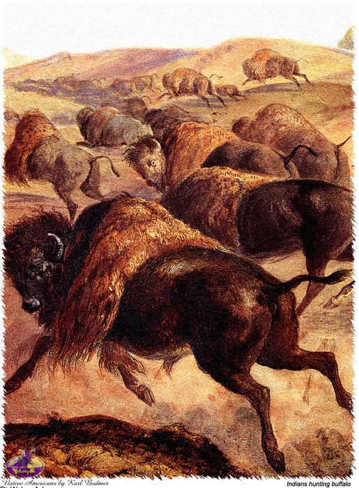 Wikioo.org - The Encyclopedia of Fine Arts - Painting, Artwork by Karl Bodmer - sharper native americans (15)