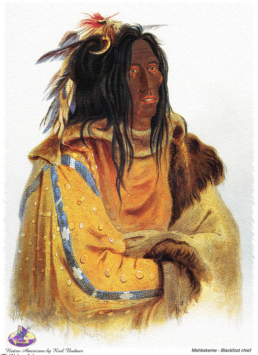 Wikioo.org - สารานุกรมวิจิตรศิลป์ - จิตรกรรม Karl Bodmer - sharper native americans (22)
