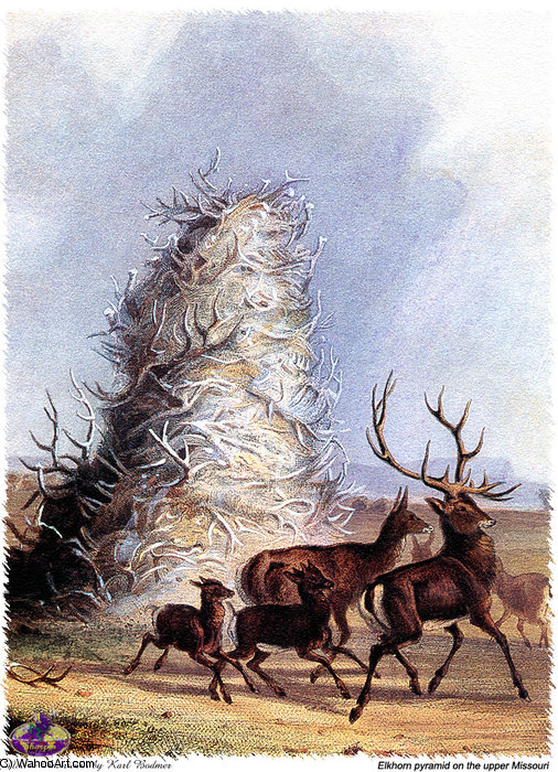 WikiOO.org - Encyclopedia of Fine Arts - Maleri, Artwork Karl Bodmer - sharper native americans (26)