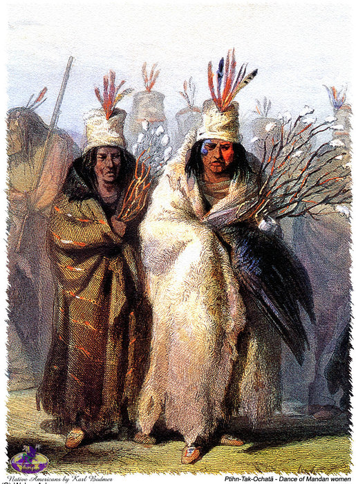 Wikioo.org - The Encyclopedia of Fine Arts - Painting, Artwork by Karl Bodmer - sharper native americans