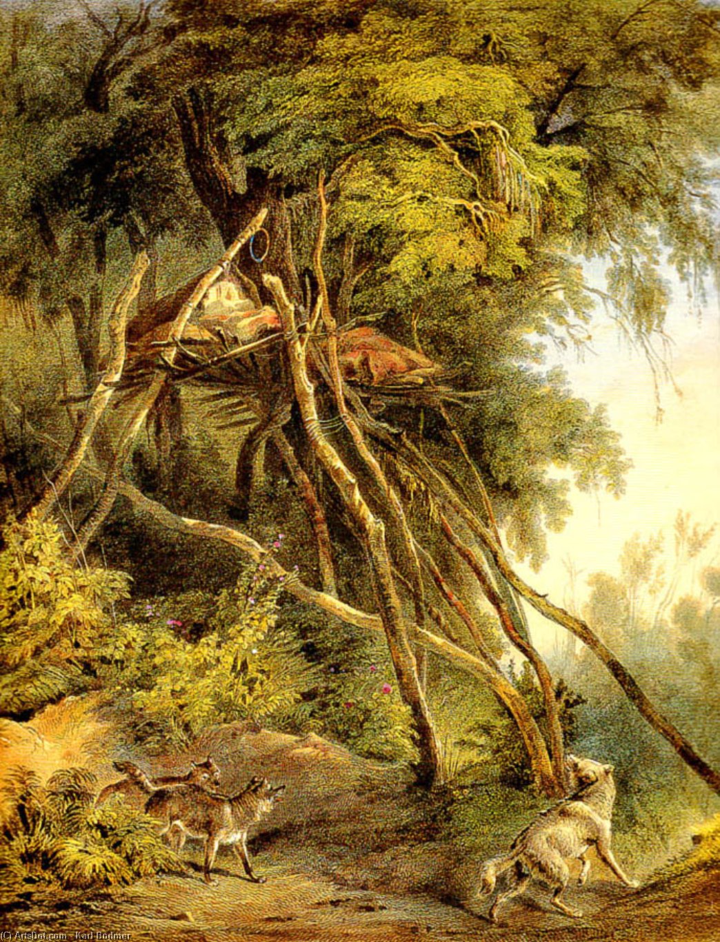 Wikioo.org - The Encyclopedia of Fine Arts - Painting, Artwork by Karl Bodmer - Tombs of Assiniboin Indians in Trees