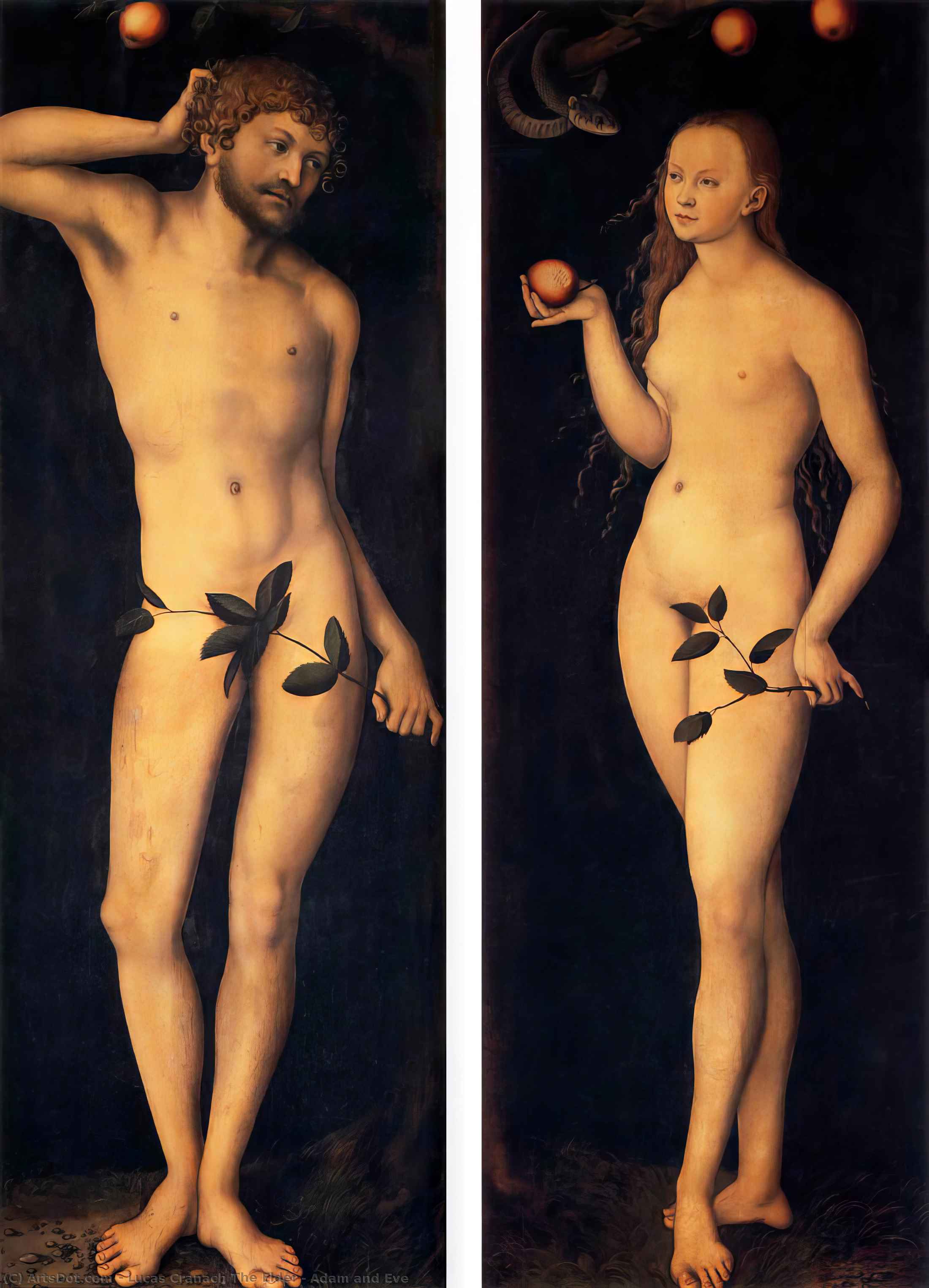 WikiOO.org - Enciklopedija dailės - Tapyba, meno kuriniai Lucas Cranach The Elder - adam and eve