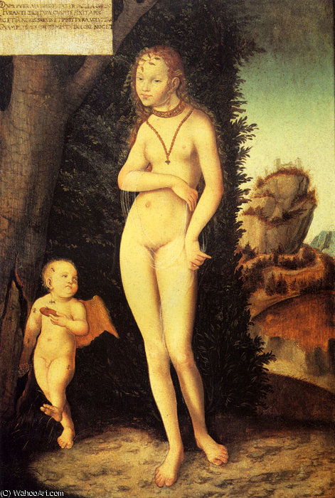 Wikioo.org - The Encyclopedia of Fine Arts - Painting, Artwork by Lucas Cranach The Elder - venus with cupid the honey thief