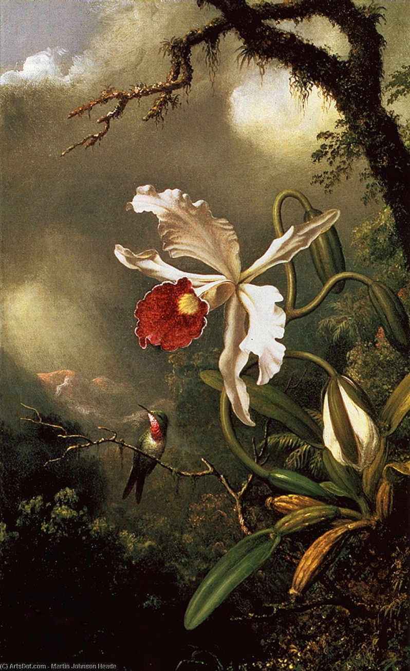 Wikioo.org - The Encyclopedia of Fine Arts - Painting, Artwork by Martin Johnson Heade - Amethyst Hum with White Orchid